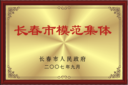 2007年長春市模范集團