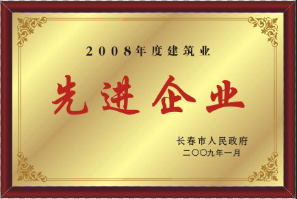 2009年先進企業(yè)