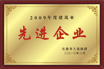 2010年先進企業(yè)